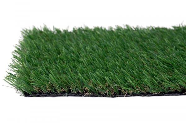 Trva Stamford 20 mm/16x10 cm, 1 m, L-03 m, umel